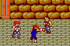 Double Dragon MS