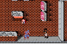 Ninja Gaiden