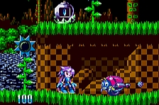 Sonic X Freedom Planet